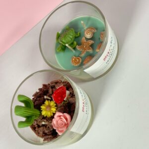 Terrarios vela de soya